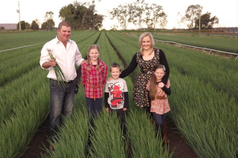 Shallots Campsey Farm Farming the Lockyer Valley for 6